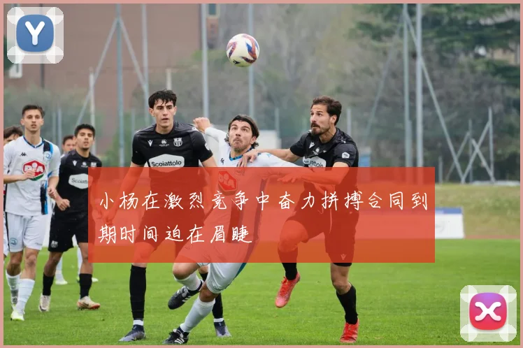 小杨在激烈竞争中奋力拼搏合同到期时间迫在眉睫
